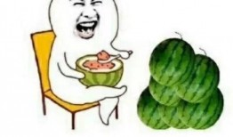 娱乐圈吃瓜是什么意思,揭秘明星八卦背后的真相